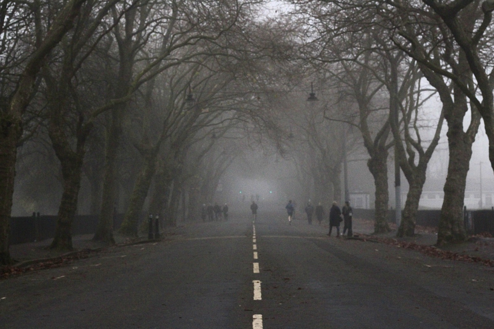 Misty road. Kelvin Way in winter fog. December, 2021.