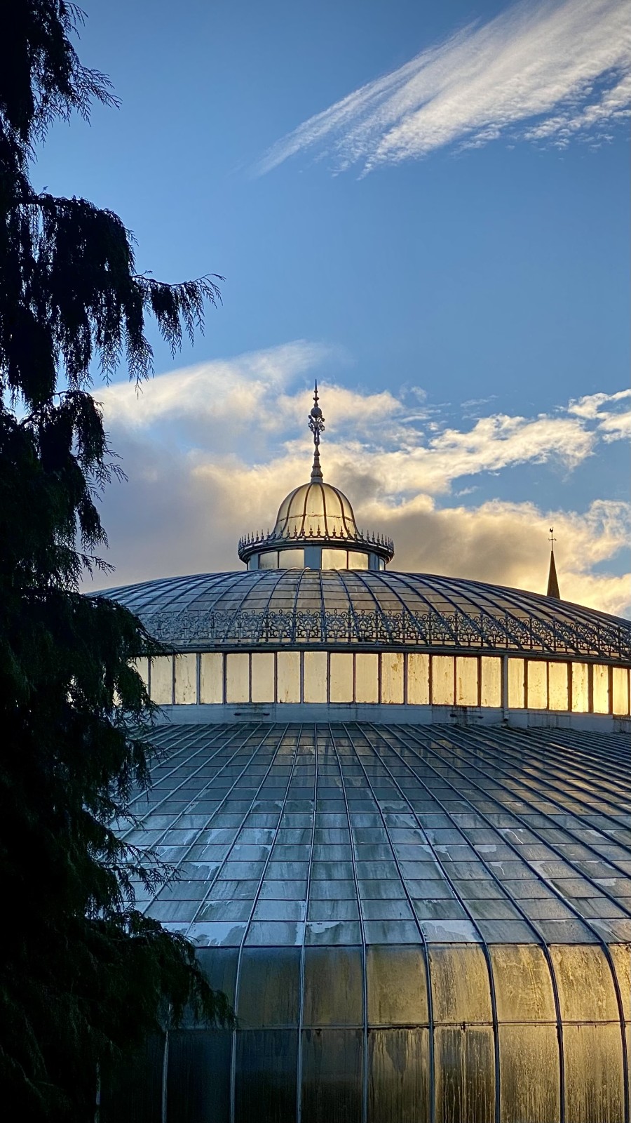 Kibble Palace, Glasgow Botanic Gardens. November 2021.