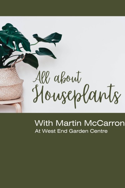 All About Houseplants with Martin McCarron   Picture: Glasgow West End Today