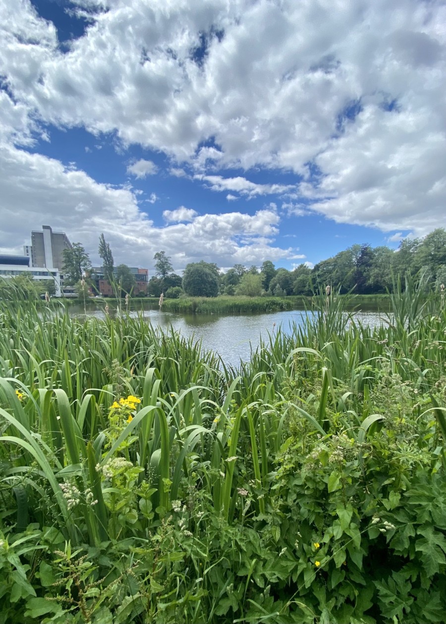 Close to Gartnavel Hospital and the A82 trunk road