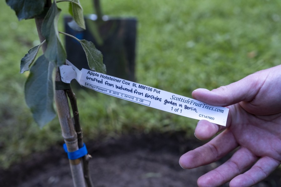 Taken from an apple tree at Einstein’s former summer home in Germany. Photo: Chris James