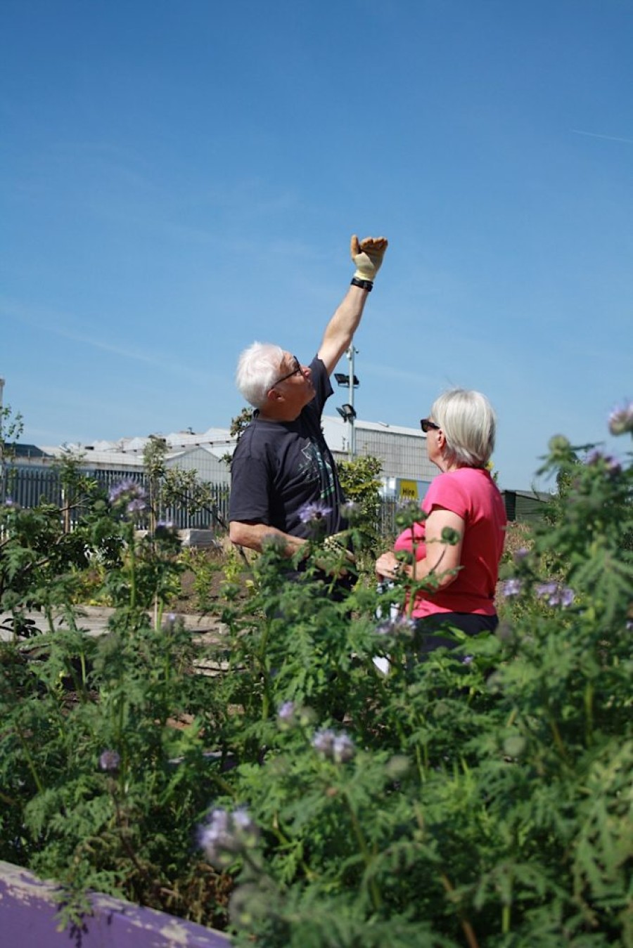  Support: the garden has had help from local groups and big organisations
