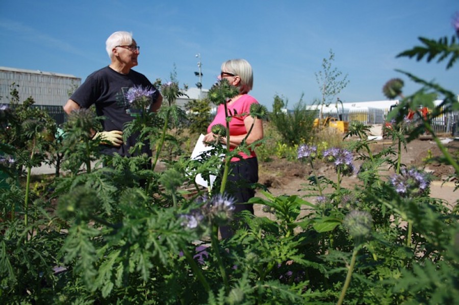  Creating space: volunteers Alasdair MacDonald and June Mitchell at the Green Garden