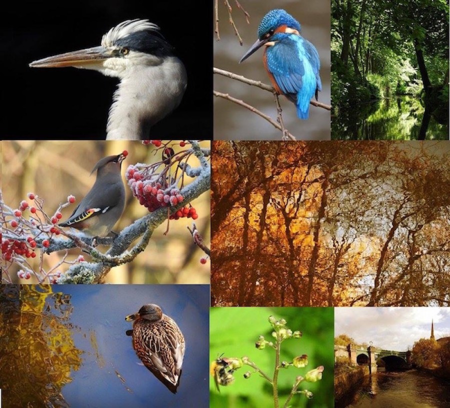Medley: a selection of Pete's images 