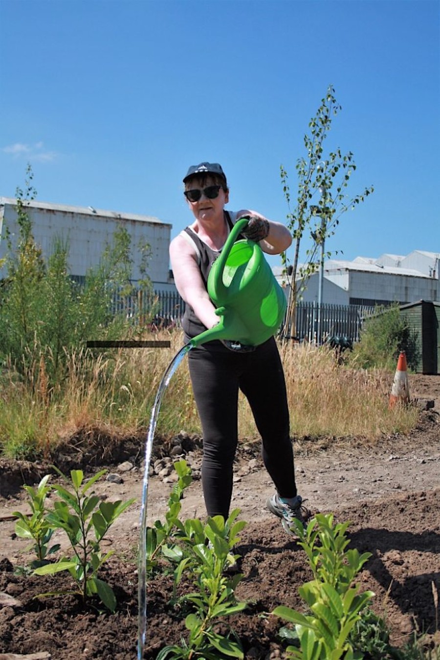  Helping hand: volunteer Helen Tracey waters the plants at the new community green space
