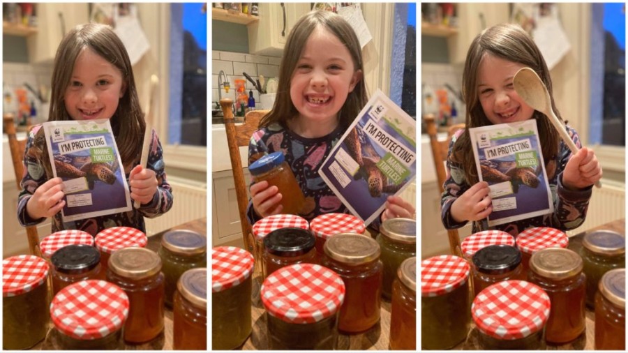 Anna O'Neill: helping to preserve turtles by making marmalade