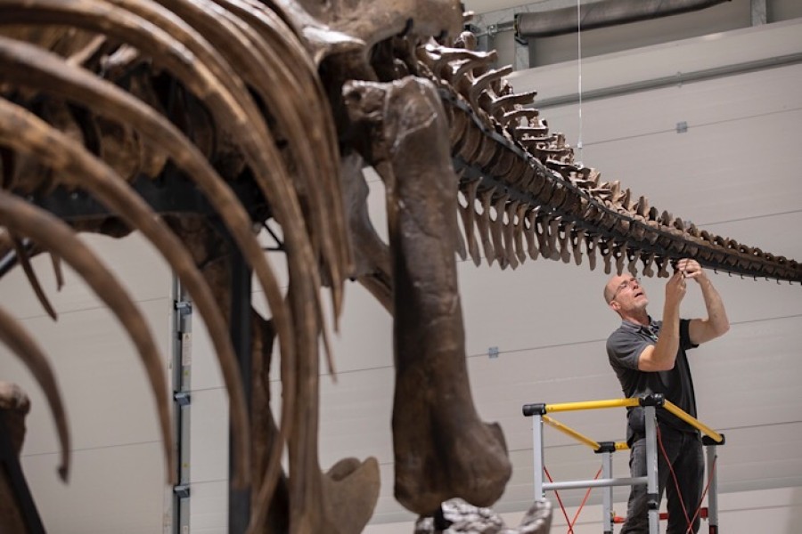  Boney: Trix will take five days to assemble. Photo credit © Martin Shields