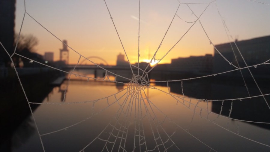  Light: A spider's web at sunrise is among the photos on show. Photo credit: Megan Kirk. 