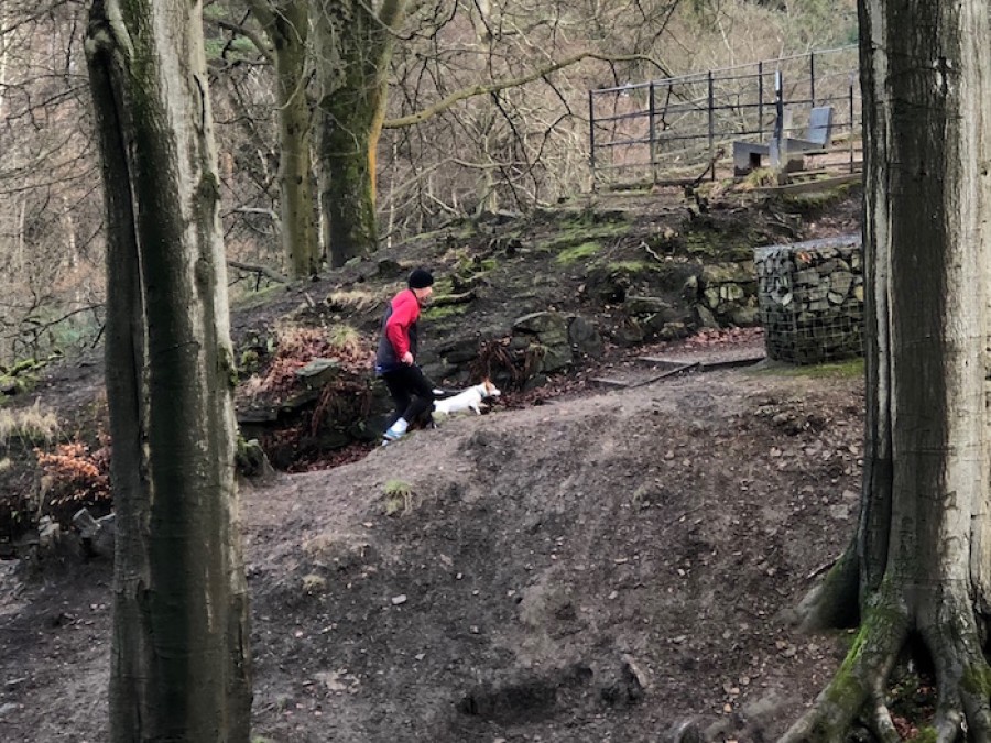 Pal: Buddy likes to run whenever Ronnie heads out on his daily challenge 