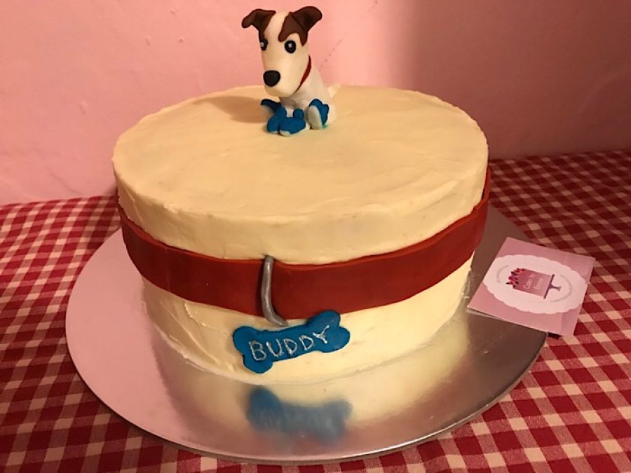  Celebrations: Nothing says 'good boy' like a birthday cake
