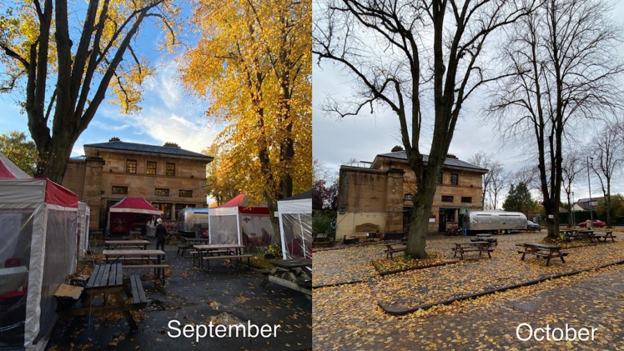 Shelters have been removed from outside 1051 GWR until the spring. Photo: GWET