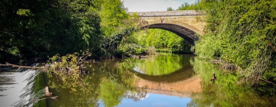  Scenic: The works will improve the environment and water quality, according to the utility 