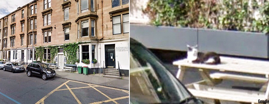  Googled: Monty was such a fixture even the Street View cameras snapped him in his favourite pose