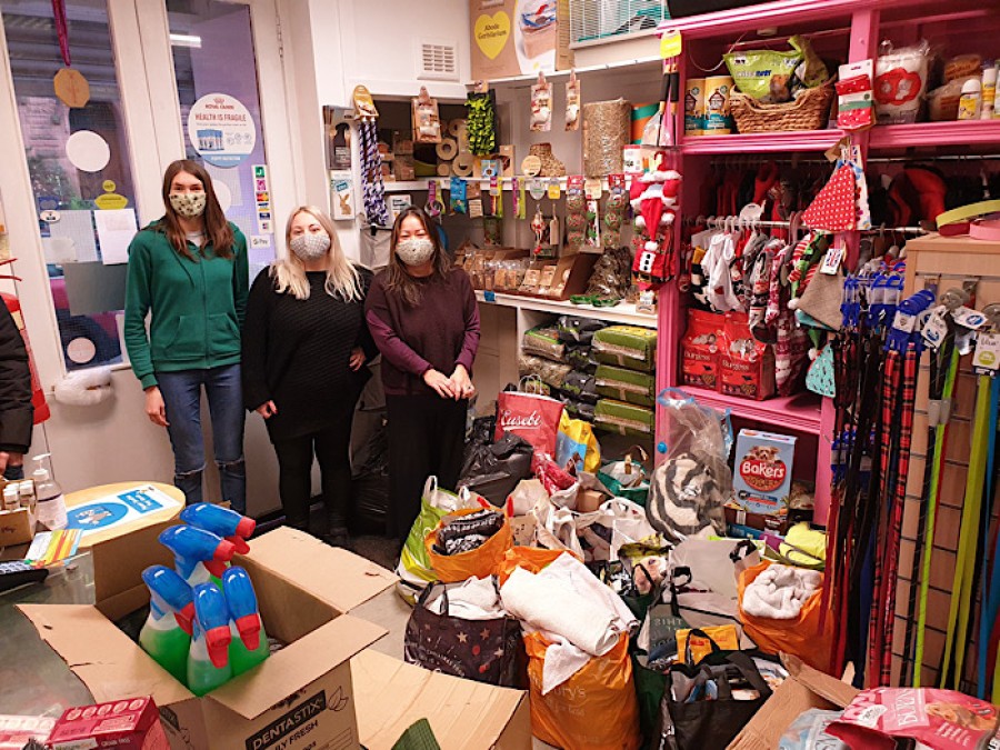 Staff at Pets-Cetera on Hyndland Street in Partick.