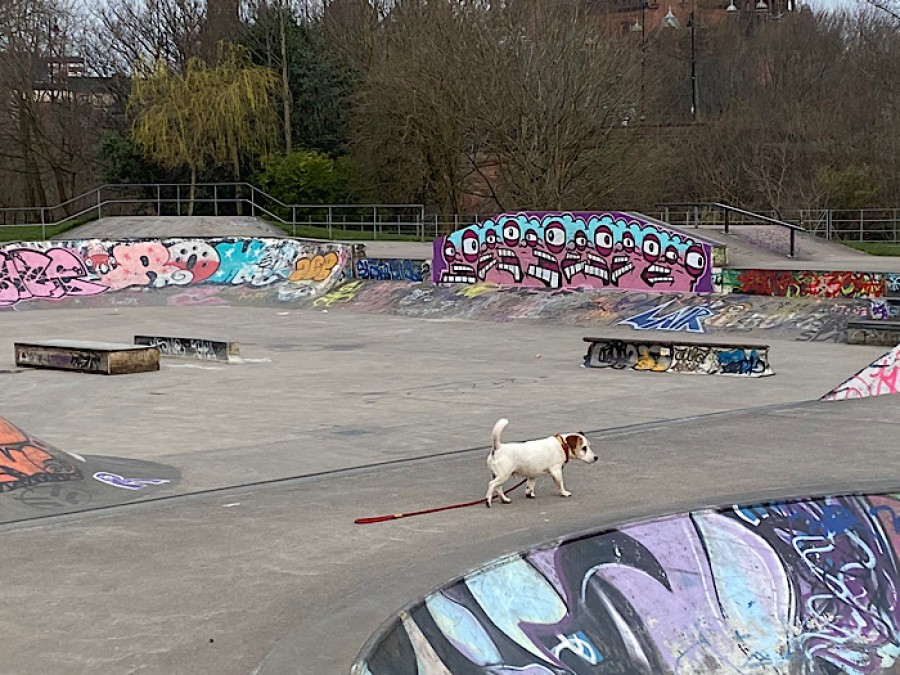  'He pulls towards the skateboard park, as if hinting for his approaching fourteenth birthday'