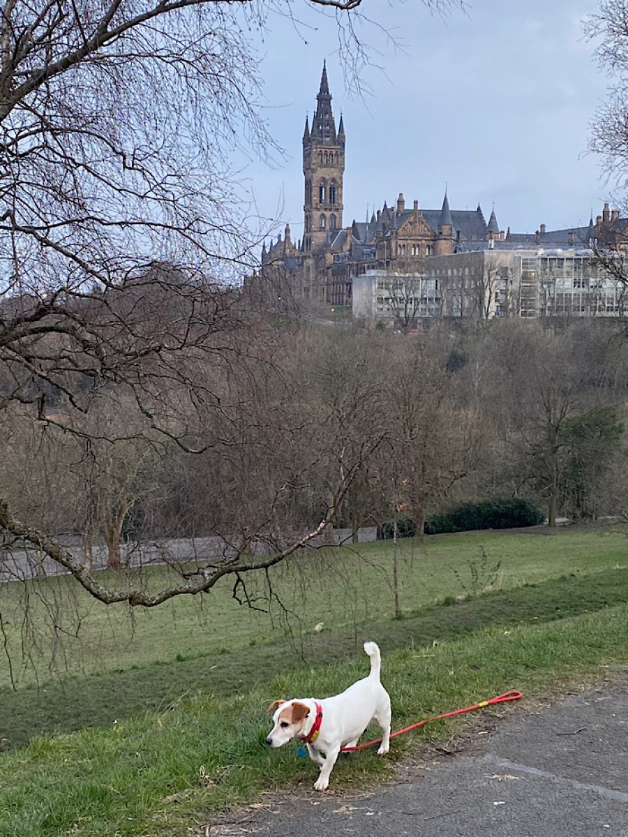  Kelvingrove gives the opportunity for some lockdown reflection.