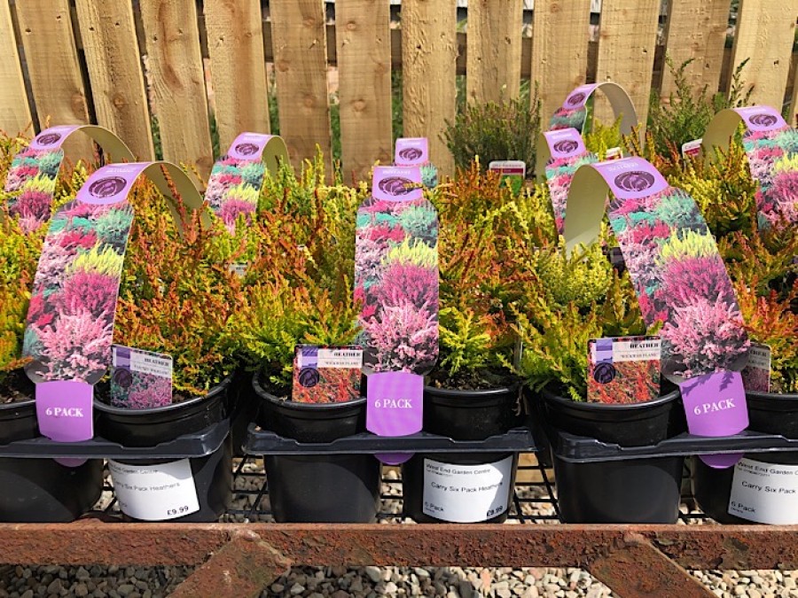  The garden centre will stock plants for the city's wildlife 