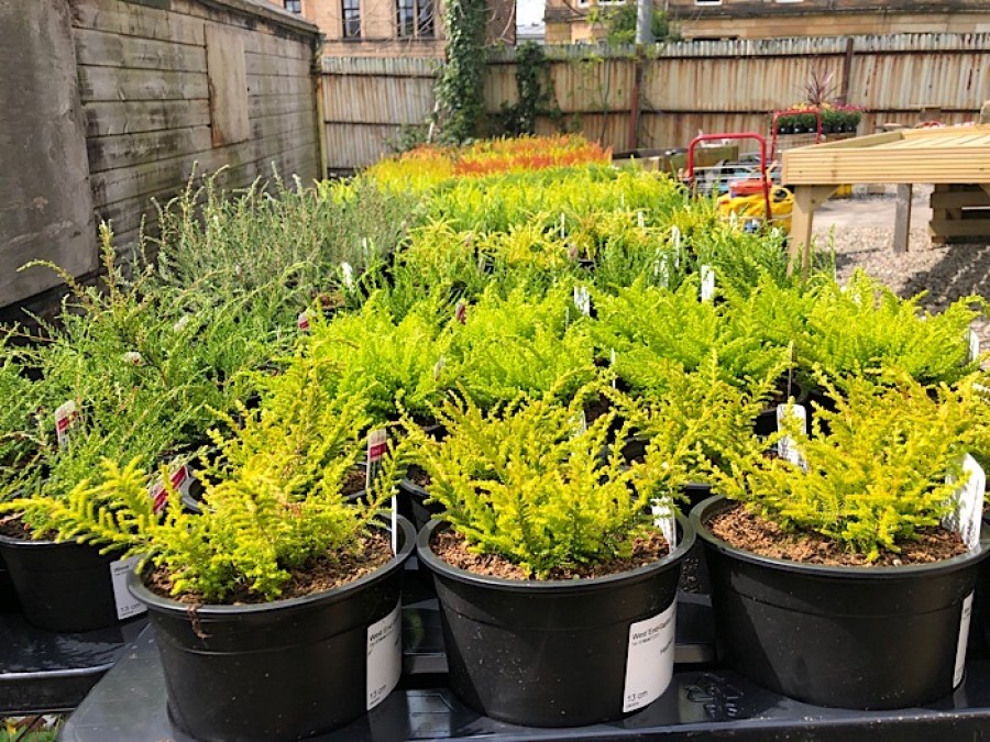  The new centre will be packed with plants and shrubs 