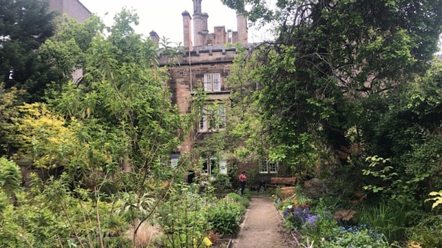  Walled Garden: an oasis of calm in the heart of the West End 