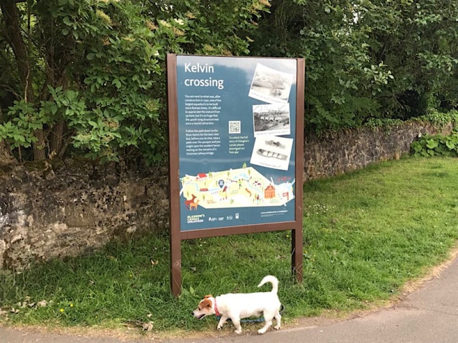  Signs: Buddy sniffs out the way to recovery 