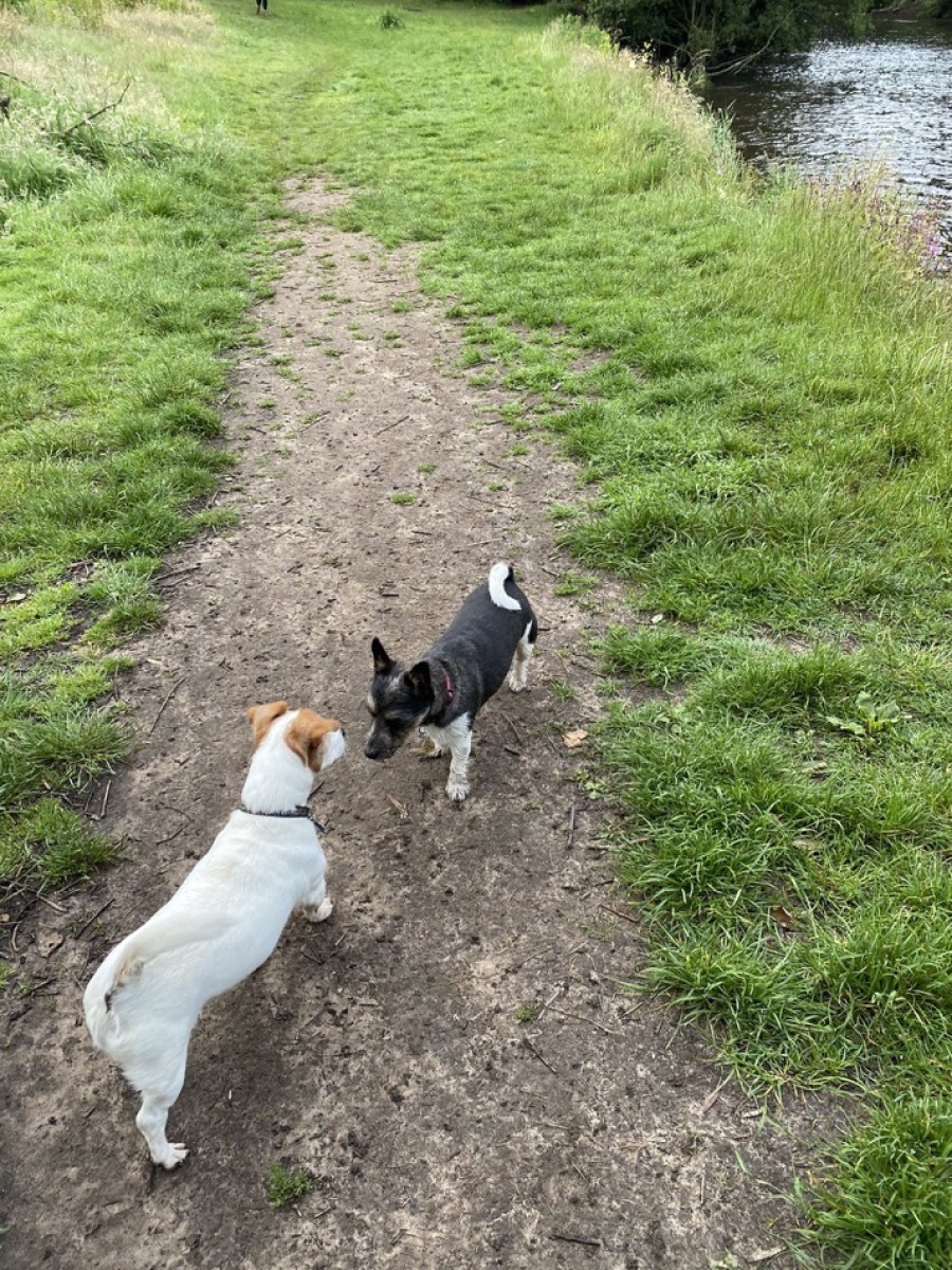  Buddy and his pal Humphrey meet at the Science Park