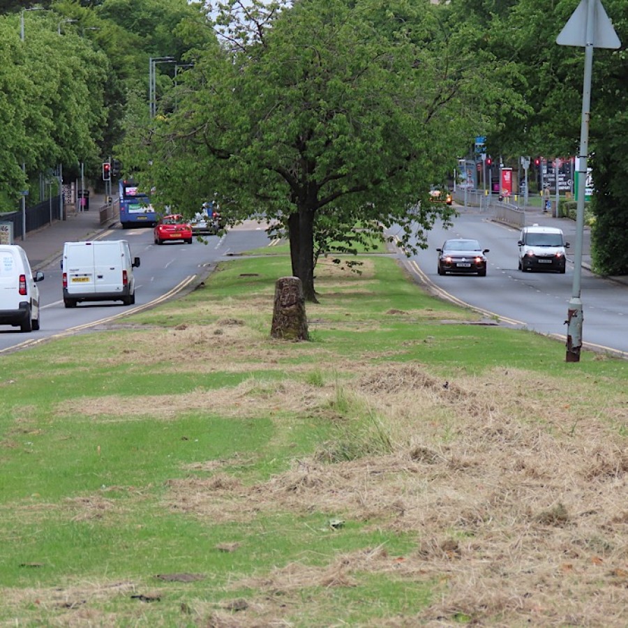  Barren scenes on the Great Western Road. Photo: Gabby Morris