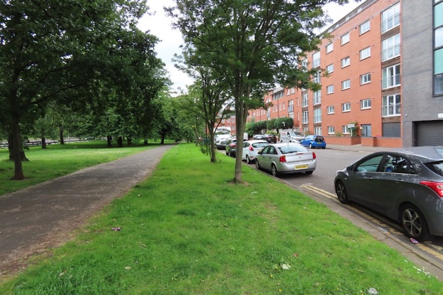  Should the verges around the West End be home to wildlife? Photo: Gabby Morris