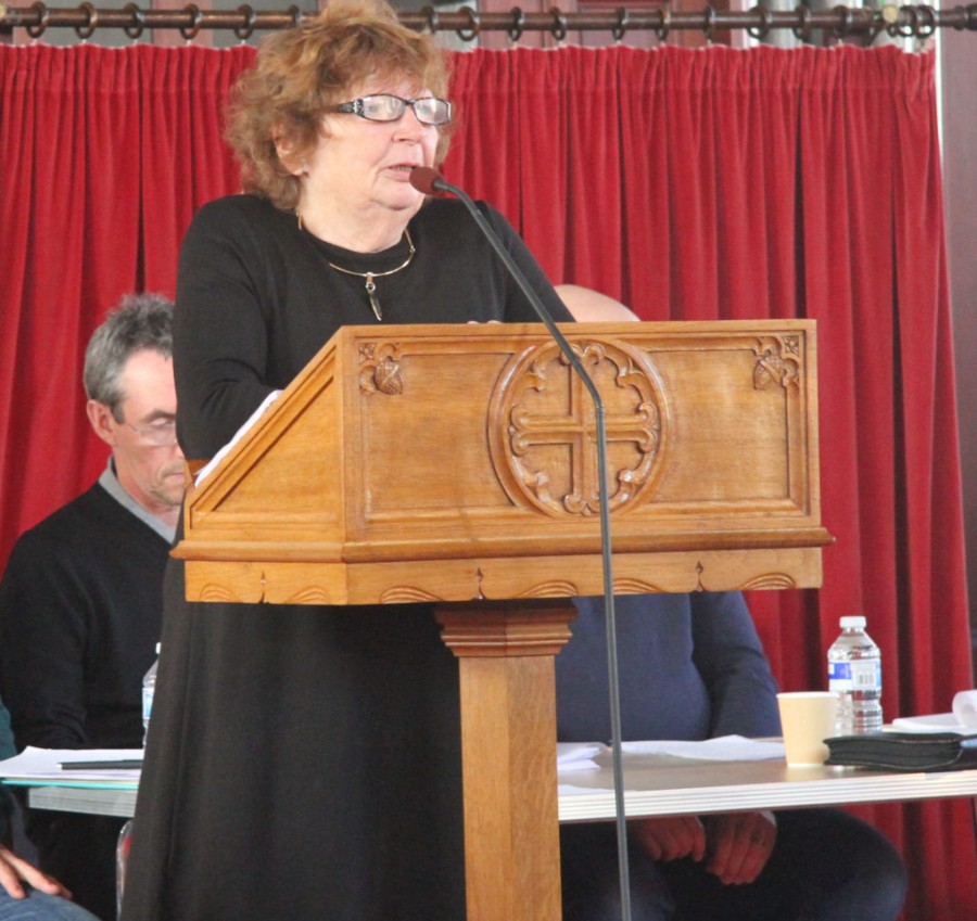  Experience: Former city councillor Pat Chalmers was among those who addressed the public meeting. 