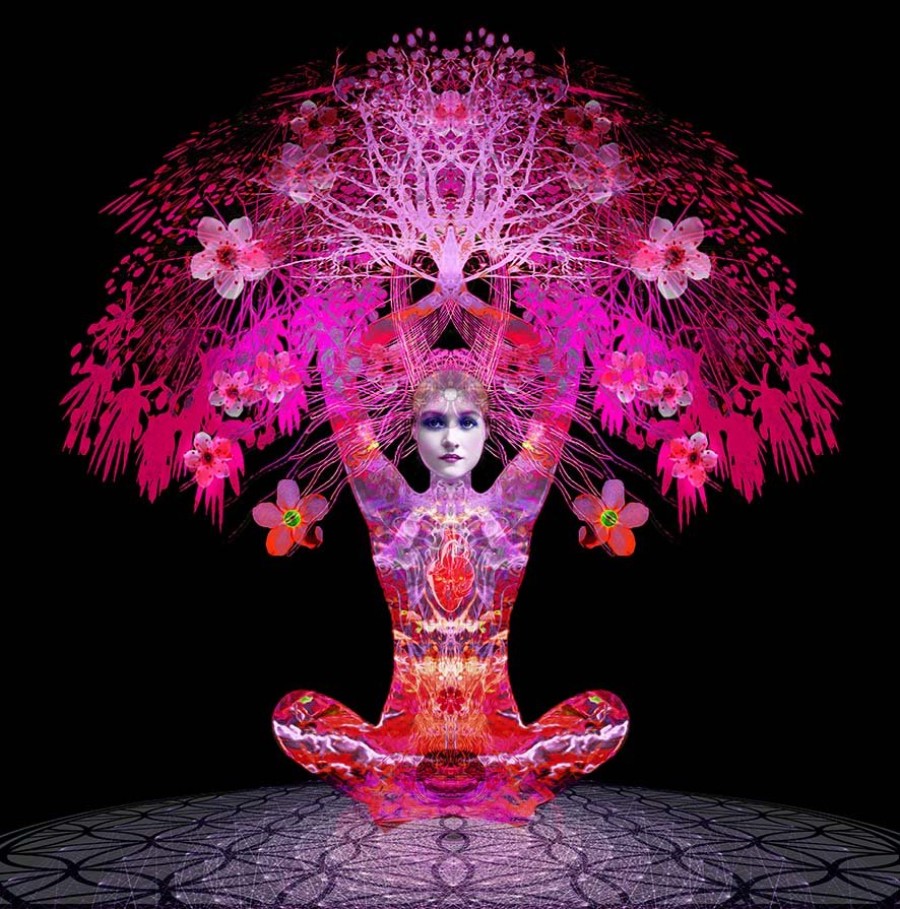 Ashley Cook's 'Flower of Life'