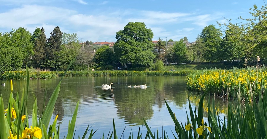 Bingham’s Pond was created in 1880 on the site of old brick and coal pits.